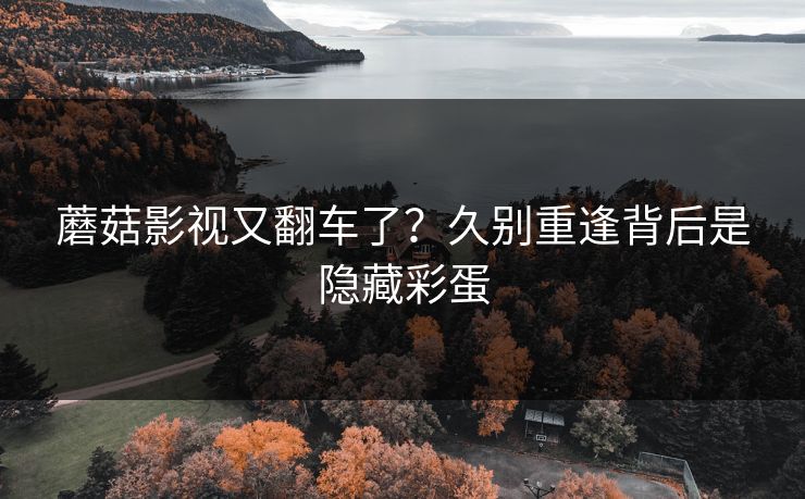 蘑菇影视又翻车了？久别重逢背后是隐藏彩蛋