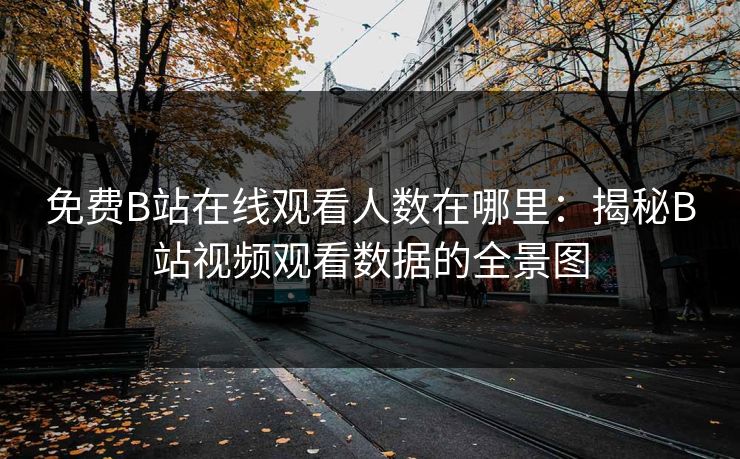 免费B站在线观看人数在哪里：揭秘B站视频观看数据的全景图