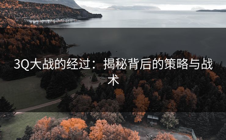3Q大战的经过：揭秘背后的策略与战术