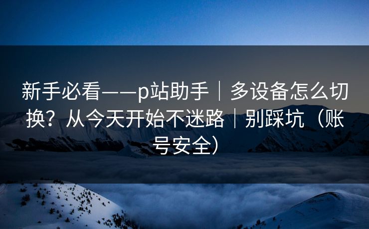 新手必看——p站助手|多设备怎么切换?从今天开始不迷路|别踩坑(账号安全)